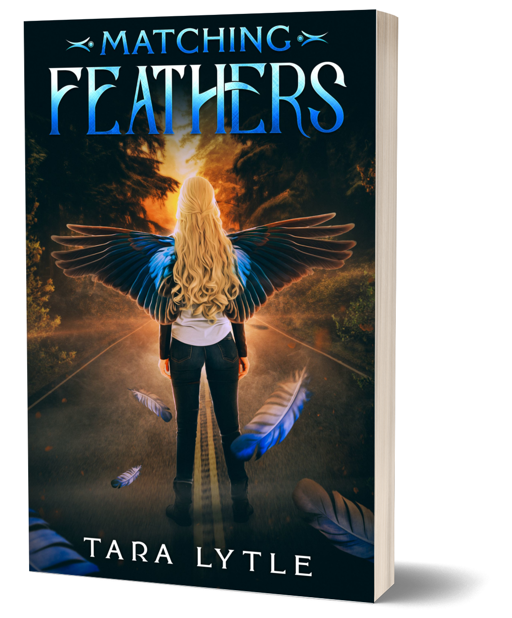 Matching Feathers