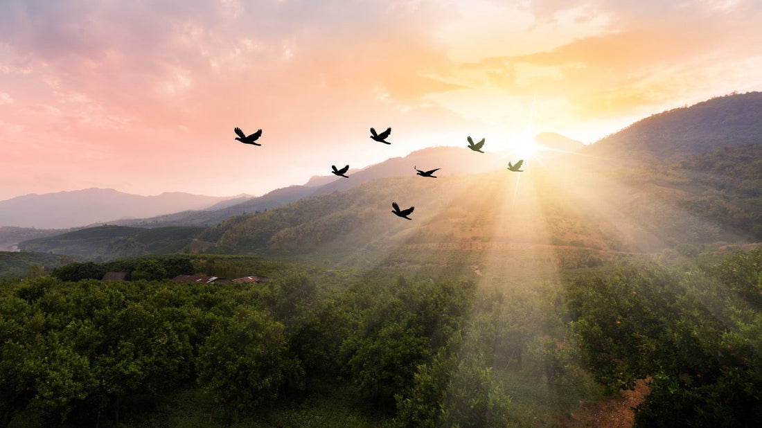 Why I Write Clean YA Fantasy